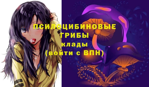 a pvp Новокубанск