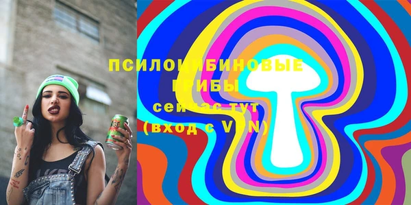 прущая мука Новодвинск