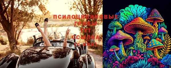 герыч Новозыбков
