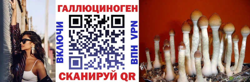 OMG онион  Аша  нарко площадка телеграм  Псилоцибиновые грибы прущие грибы 