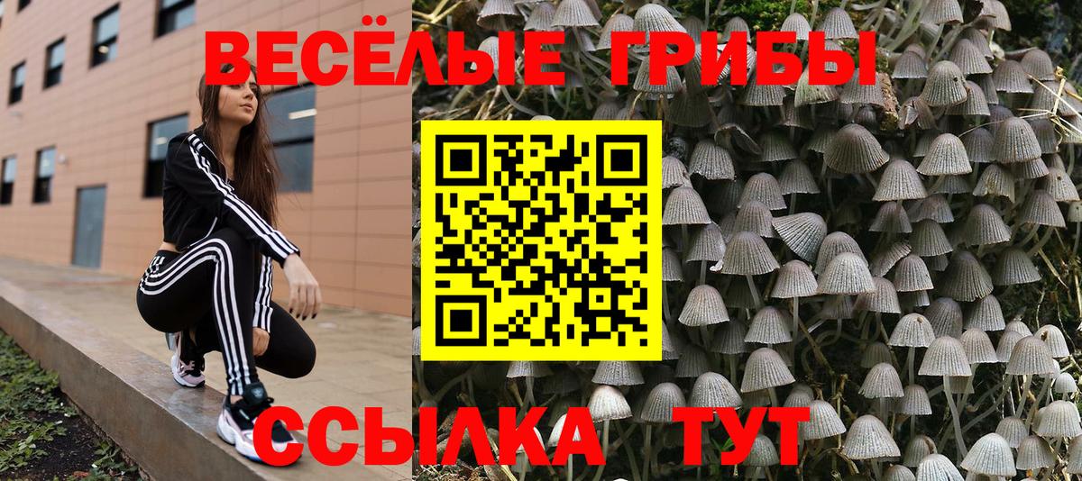 Галлюциногенные грибы Psilocybine cubensis Аша