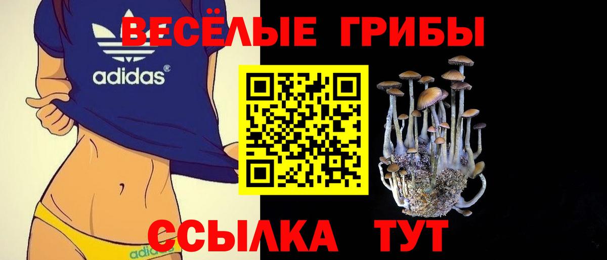 Аша  Галлюциногенные грибы мицелий  Вход с VPN 